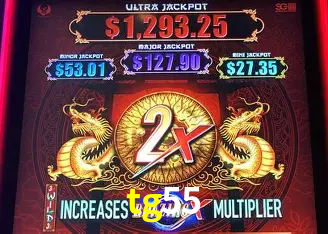 tg55 Belo Horizonte - VIP Casino